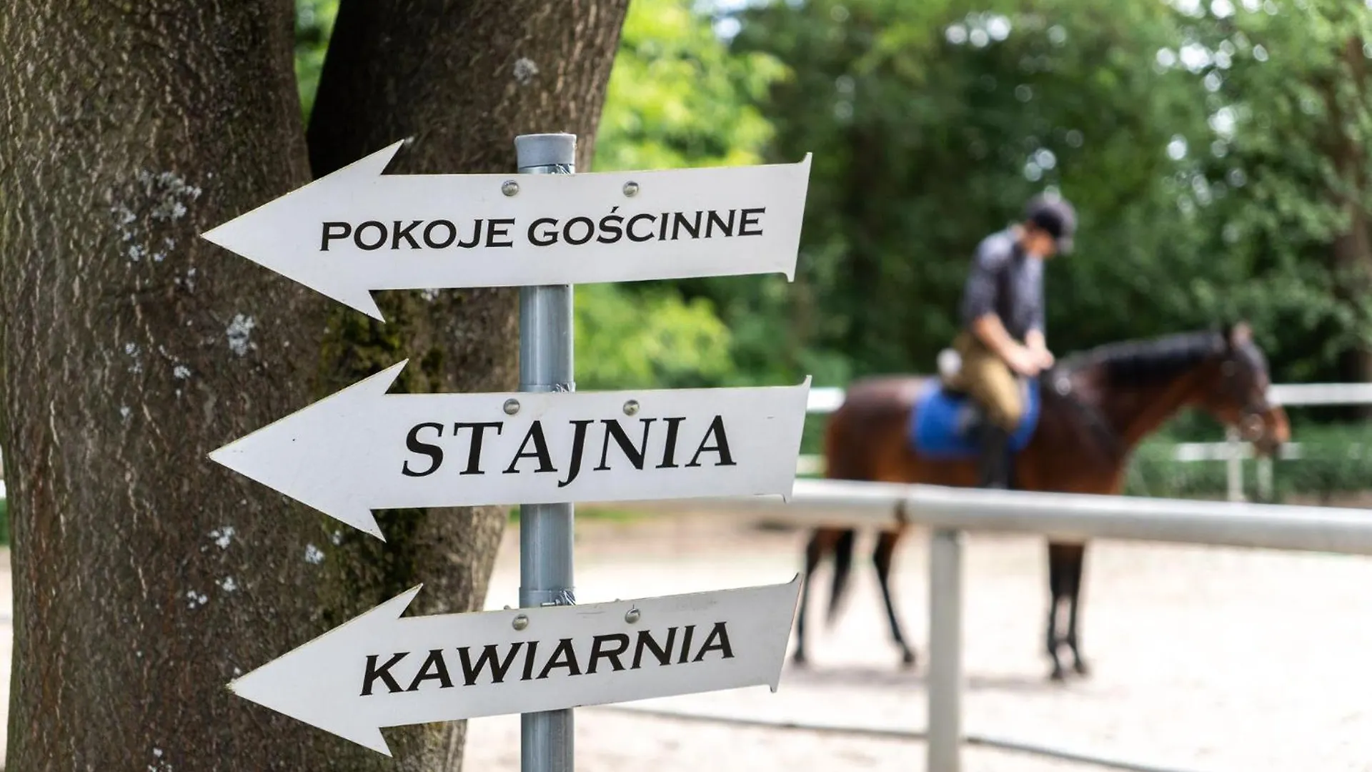 Homestay Pokoje Goscinne Cheval Krakow